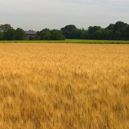 Vila La Vigna Dei Peri Quattro Castella Exteriér fotografie