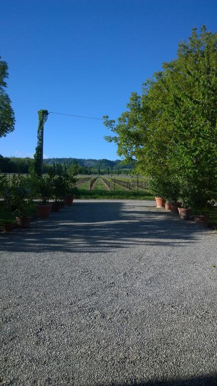 Vila La Vigna Dei Peri Quattro Castella Exteriér fotografie